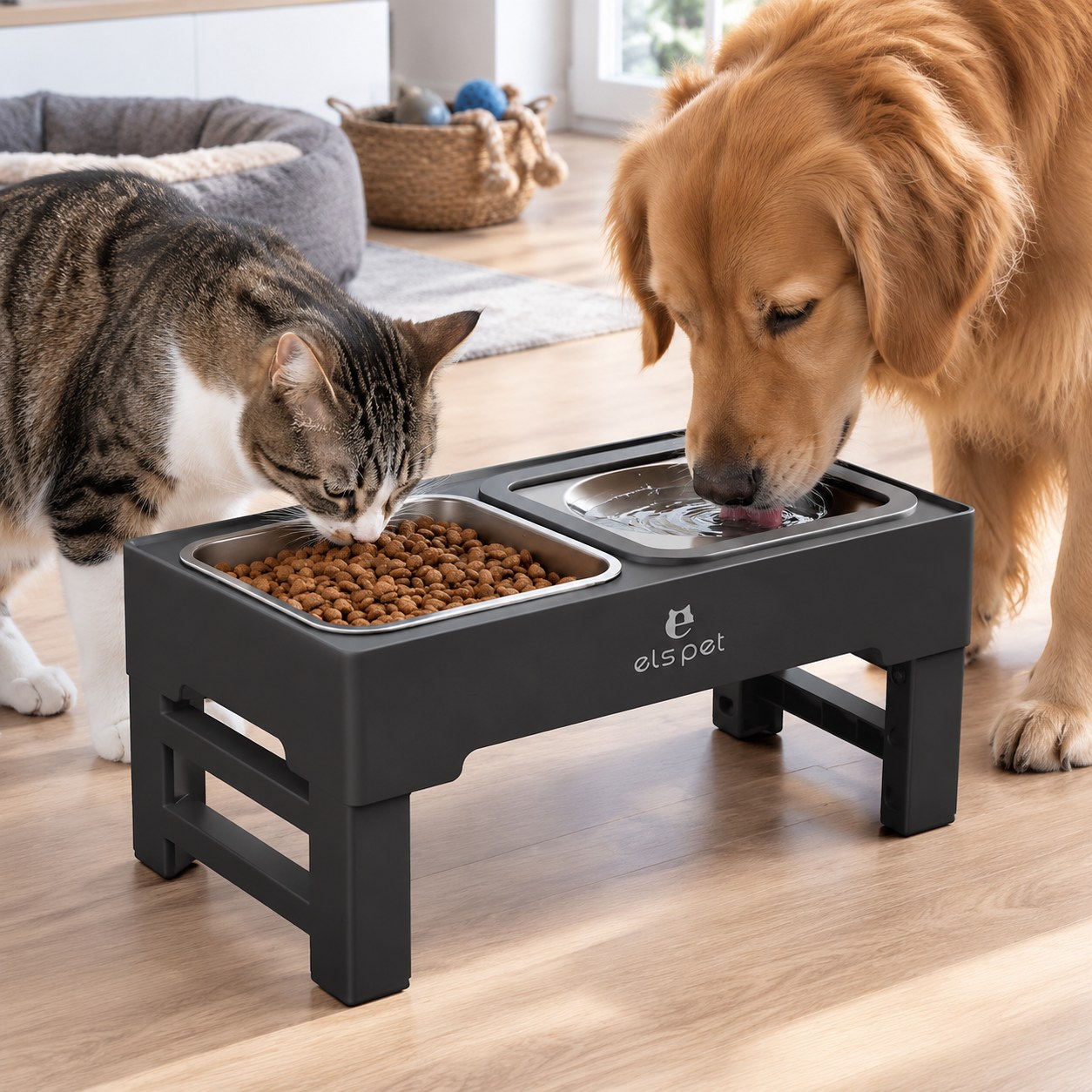 Adjustable Feeder for Cats/Dogs