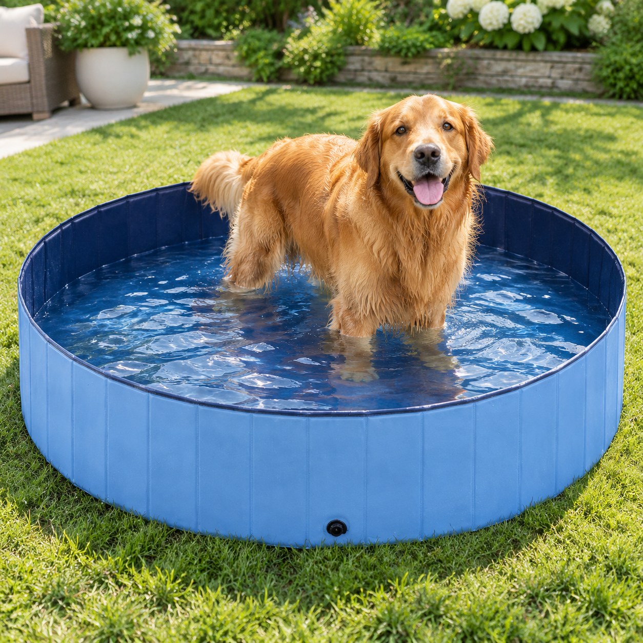 Harmony Hill's Dog Pool — Pet supplies